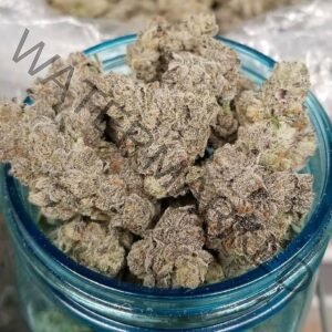 Buy White Bubblegum Gelato Strain: Premium Hybrid Cannabis