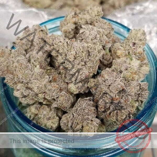 Buy White Bubblegum Gelato Strain: Premium Hybrid Cannabis