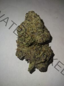 Euphoric Russian Cream Strain For Sale: Effects & Benefits