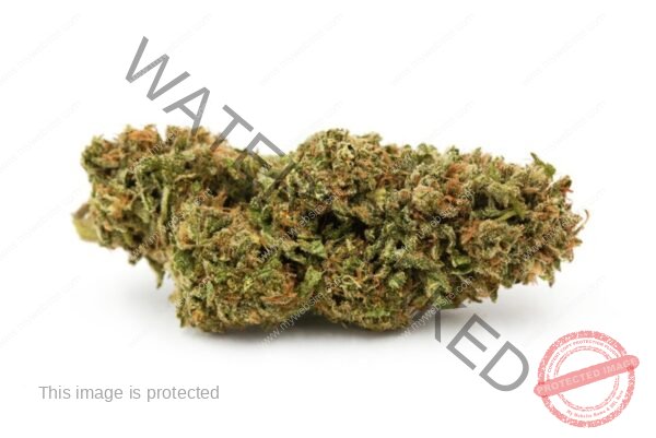 Buy Blue Meteorite Strain: Top-Quality Strain Delivered Fast