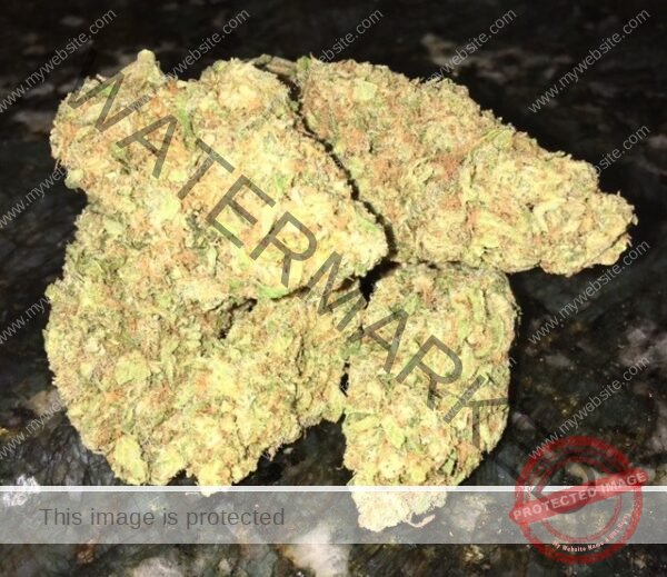 Blueberry Cookies Strain for Sale - Premium Indica Hybrid