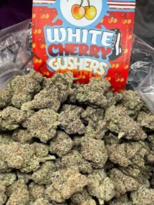 White cherry gushers strain
