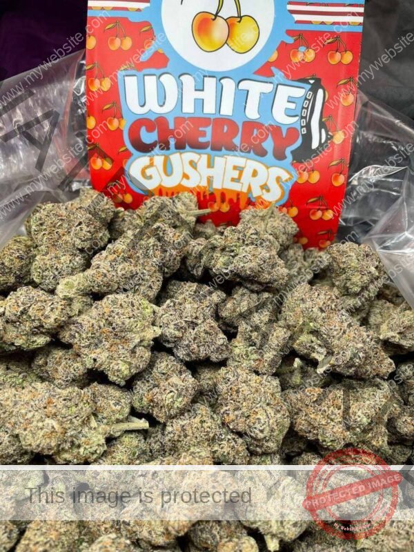 White cherry gushers strain