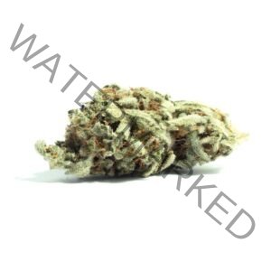 Buy Cherry Zlushie Strain: Exotic THC Effects & Benefits