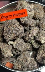 Buy Cherry Poppers Strain: A Hybrid with Aromatic Flavor