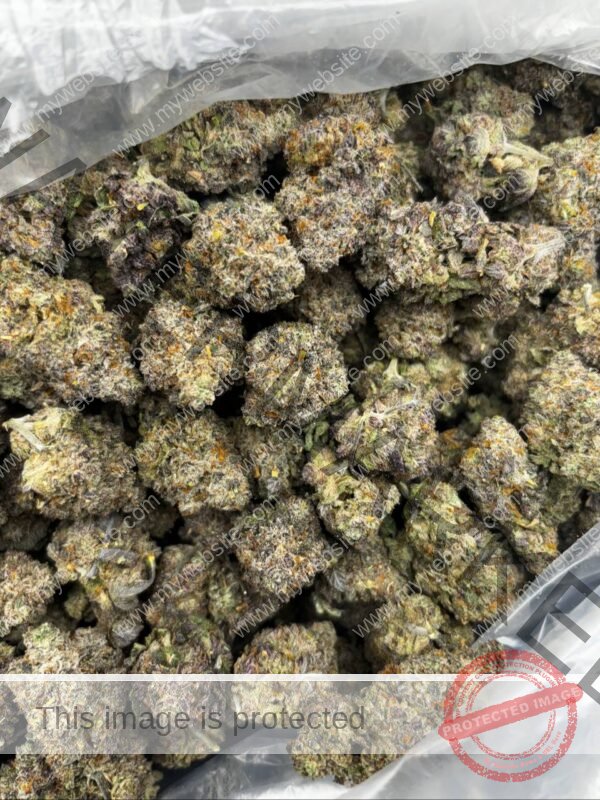 Buy Dog Food Strain: Explore Quality Hybrid Cannabis Effect