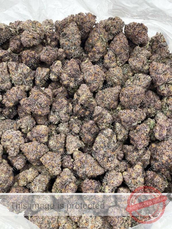 Buy Grape Fanta Strain: Explore Flavors & Balanced Effects​