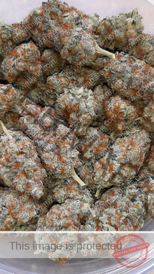 Buy Grape Fanta Strain: Explore Flavors & Balanced Effects​