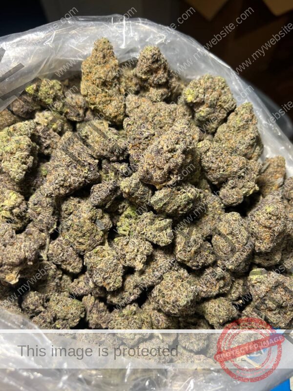 Buy Golden Gas Strain: High Potent Sativa-Dominant Hybrid