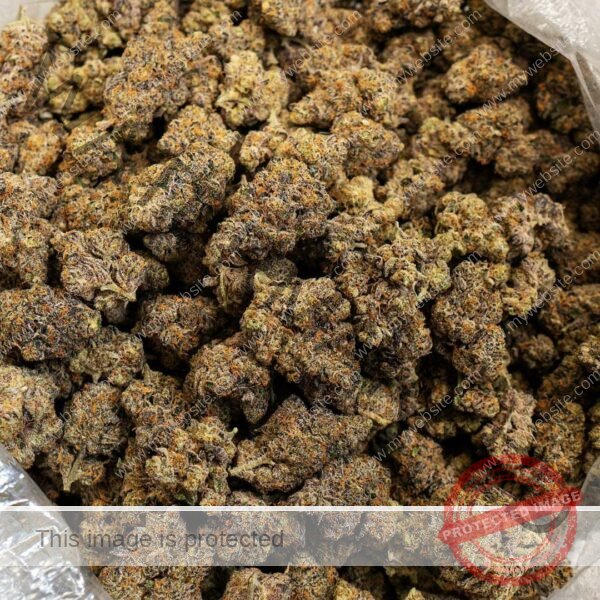 Buy High Fructose Corn Syrup Strain: Quality Hybrid Cannabis