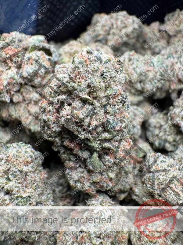 Buy Mora Fresa Strain: Explore Effects, Flavor & Benefit