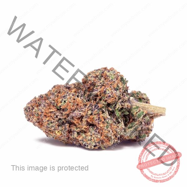 Buy High Fructose Corn Syrup Strain: Quality Hybrid Cannabis