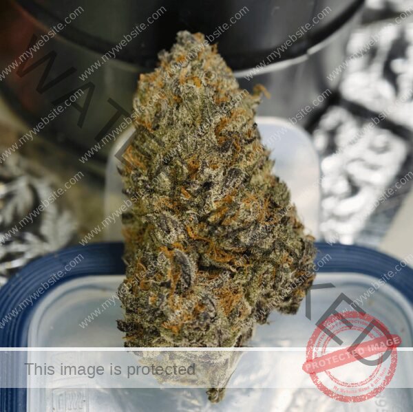 Buy High Fructose Corn Syrup Strain: Quality Hybrid Cannabis