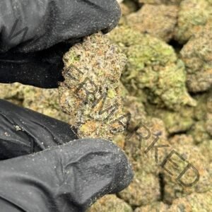 Buy Cherry Gushers Strain (Black, White & Lemon Gushers)