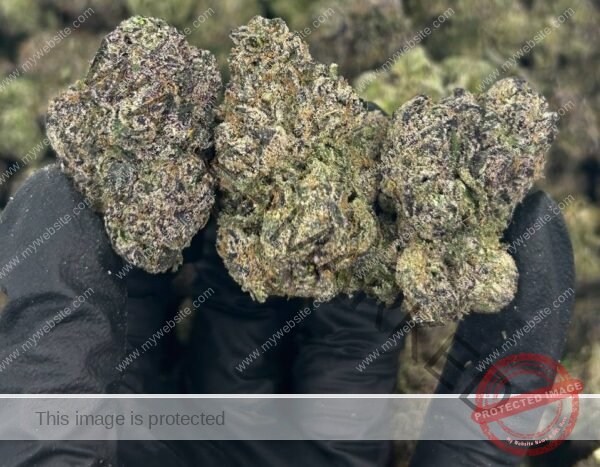 Lemon cherry gushers strain