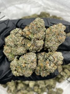 Life Hack Strain for Sale: Premium Hybrid Cannabis