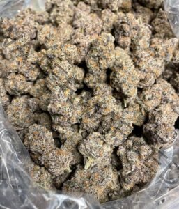 Buy Papaya Punch Strain: Potent Aromatic Tropical Cannabis