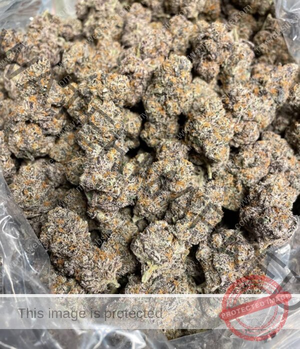 Buy Papaya Punch Strain: Potent Aromatic Tropical Cannabis