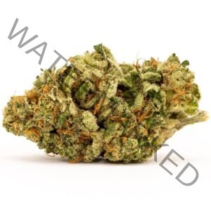 Zlurpee Strain: Experience Top Quality and Unique Flavors