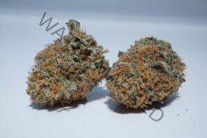 Super Candy Strain: Hybrid Cannabis Flavors At Best Prices