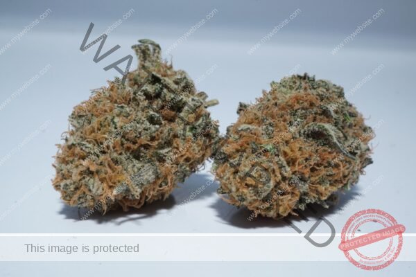 Super Candy Strain: Hybrid Cannabis Flavors At Best Prices