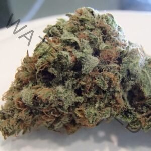 Super Candy Strain: Hybrid Cannabis Flavors At Best Prices
