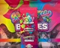 Guide To Spot whole melt extracts 2g disposable real or fake